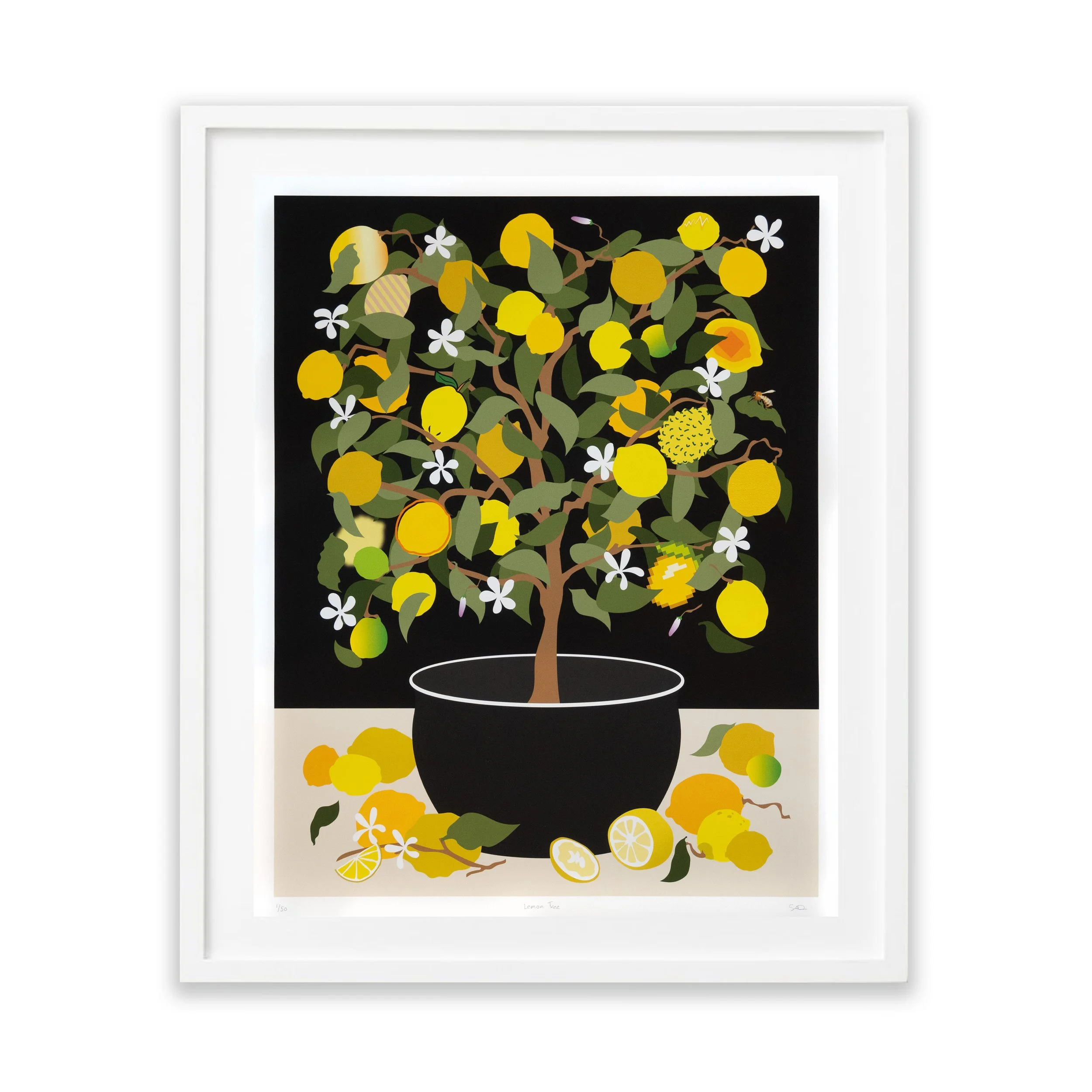 FRUIT ROLL OUT — Galleri Urbane